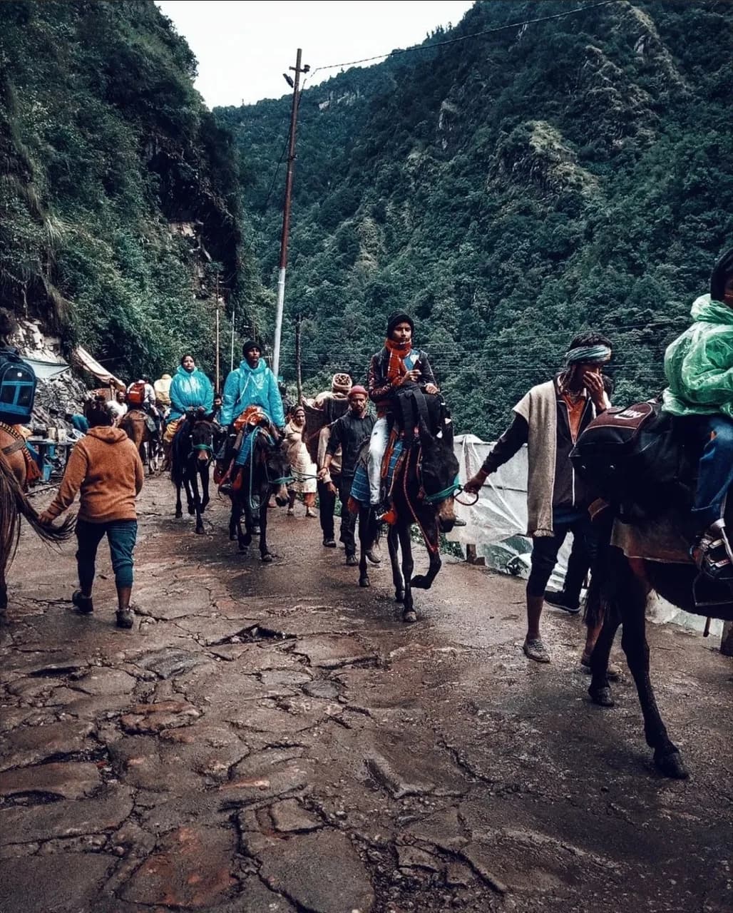 Do Dham Yatra 5N/6D gallery 4