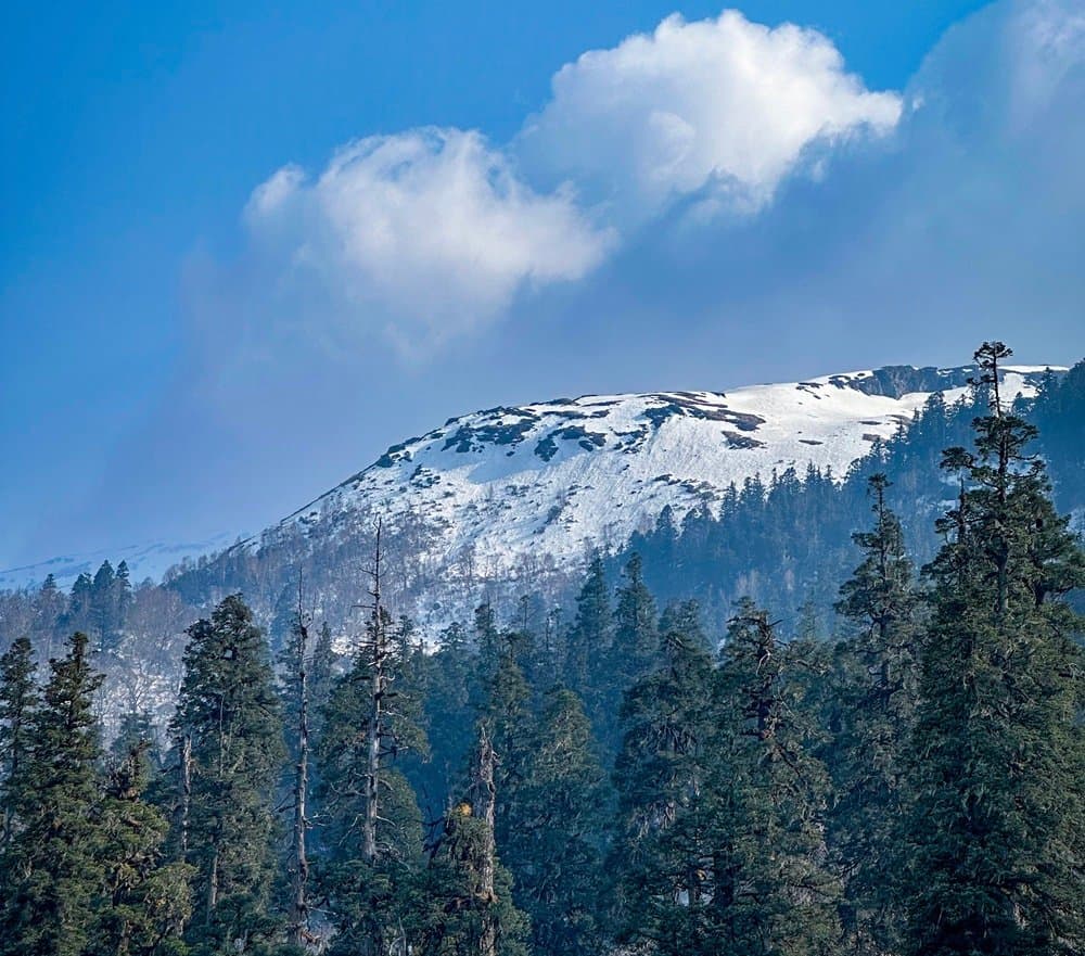 Kuari Pass Trek 4N/5D gallery 3