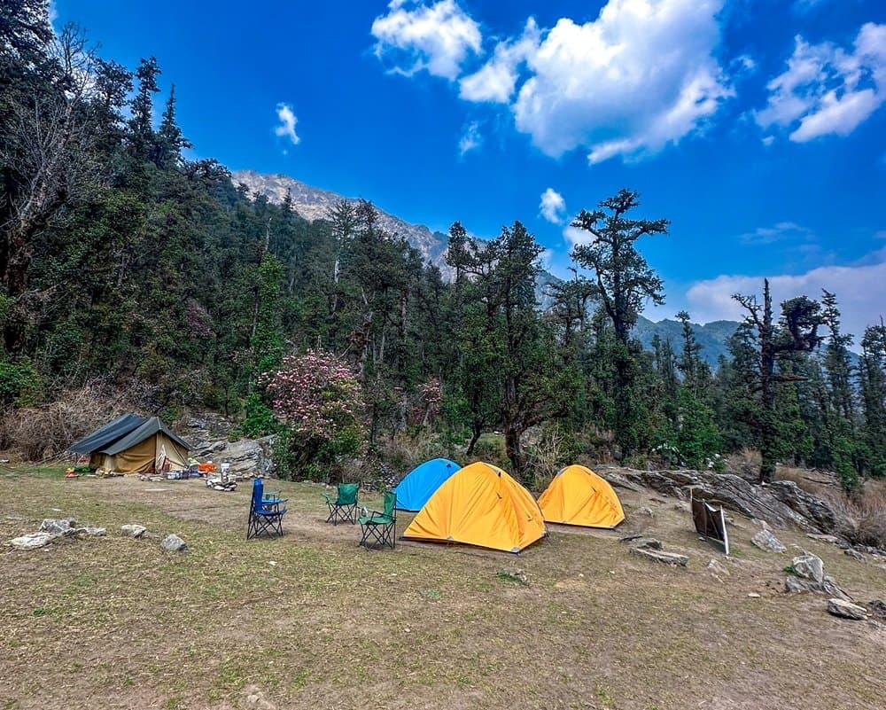 Kuari Pass Trek 4N/5D gallery 4