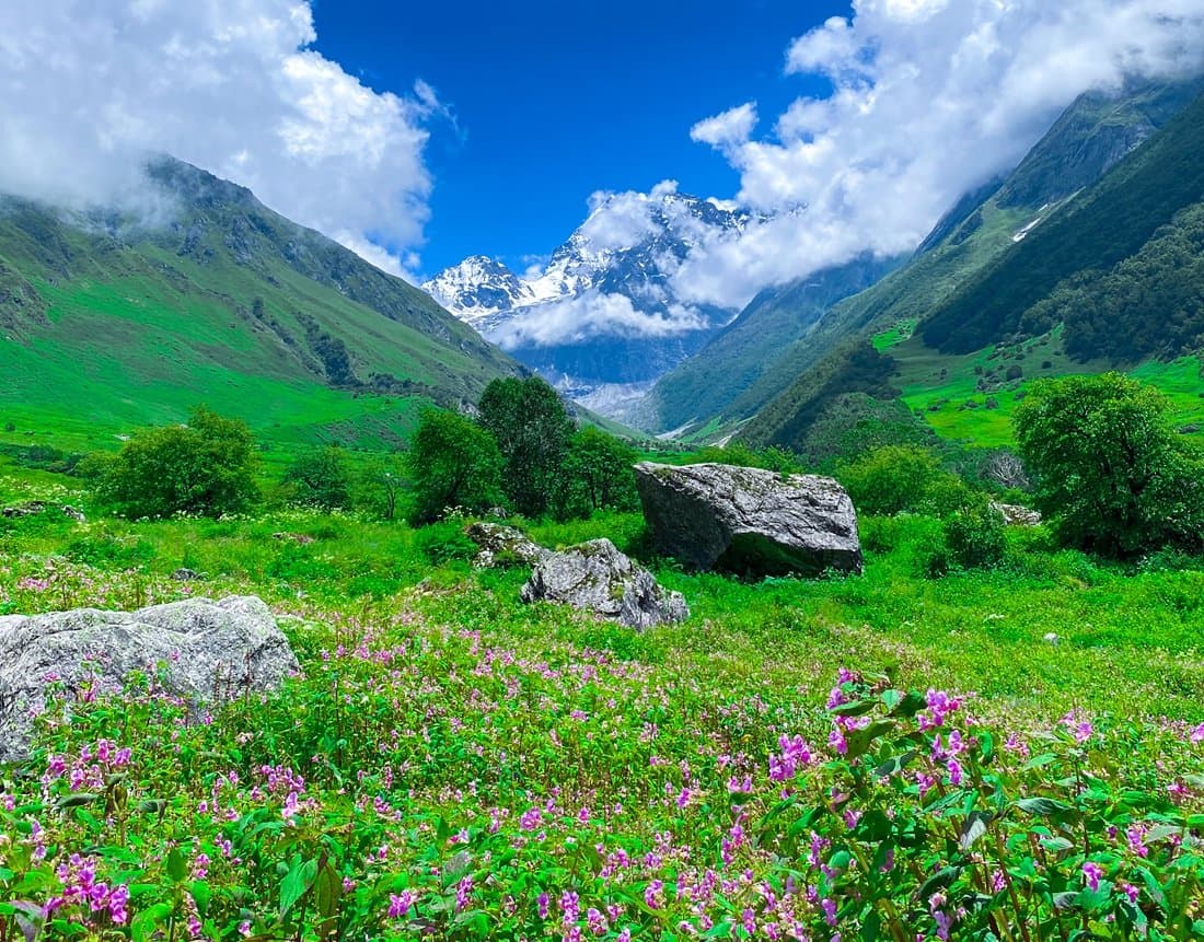 Valley of Flowers Trek 5N/6D gallery 3