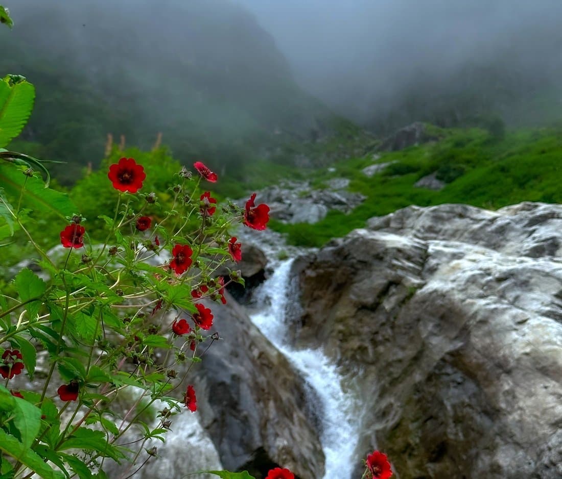 Valley of Flowers Trek 5N/6D gallery 4