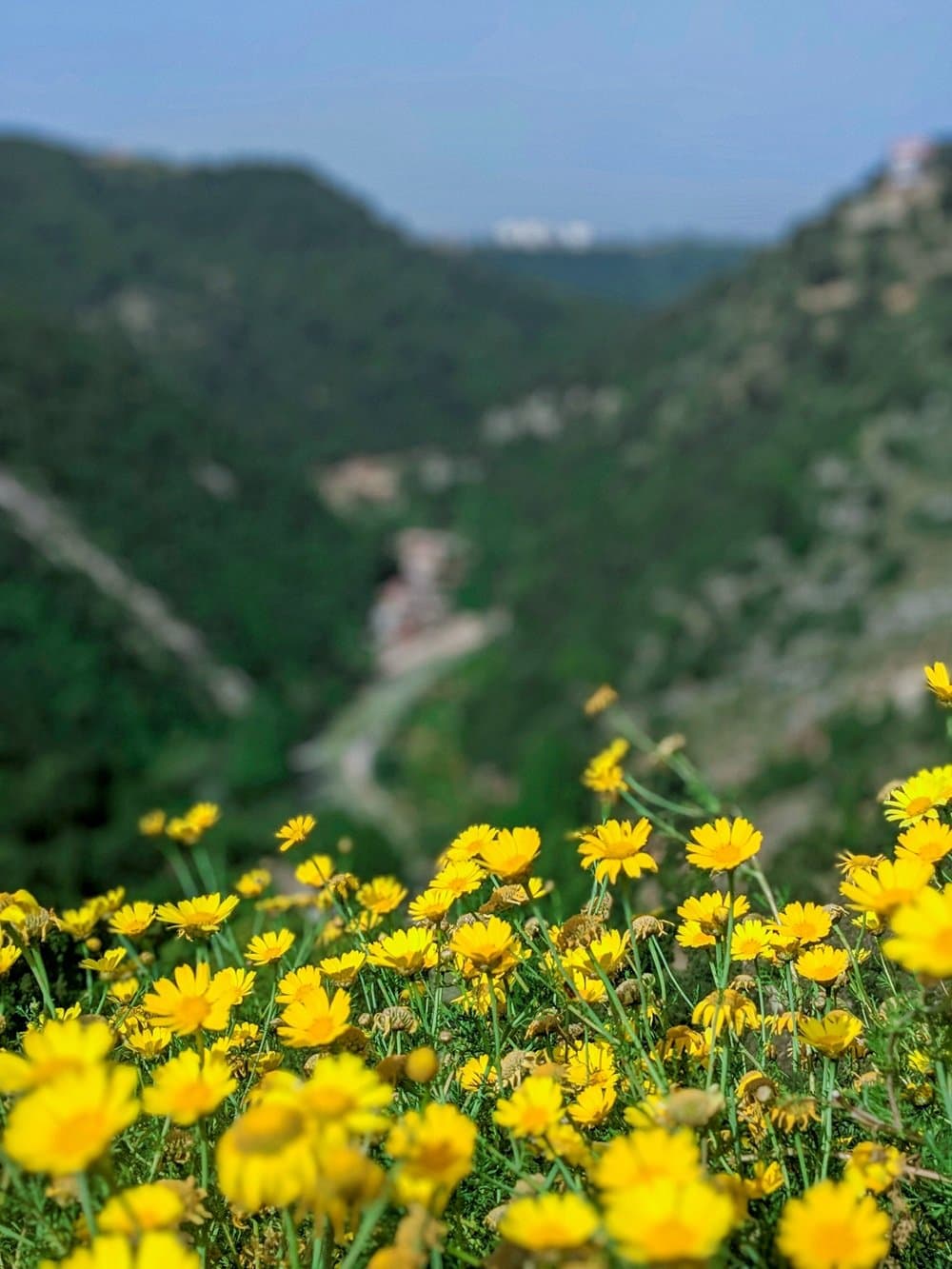 Valley of Flowers Trek 5N/6D gallery 6